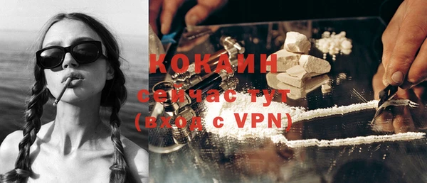 дживик Абинск